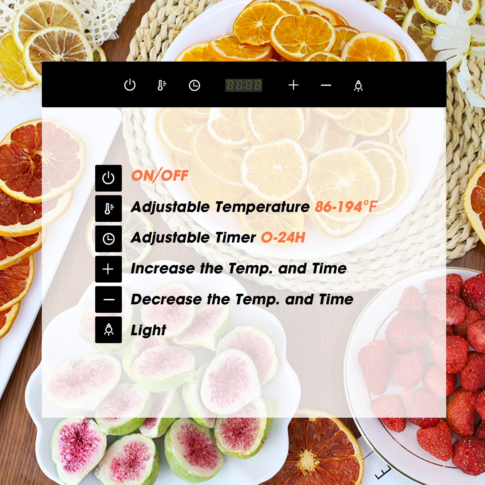 Food Dehydrator